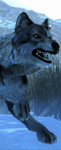 I love animals, see.