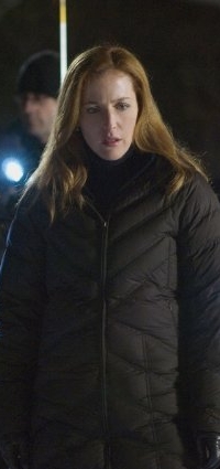 There was one story in which Scully was right.  It was in a comic book.  I loved it.