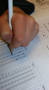 Also standardized tests are pointless, but that's another article and also well outside of our scope here.